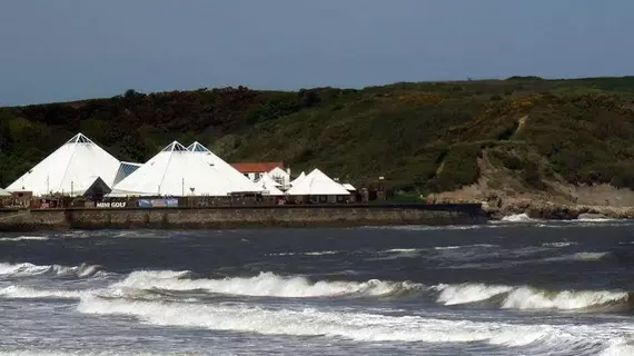 Sea Dogs Guest House | Kuzey Yorkshire (kontluk) - Scarborough