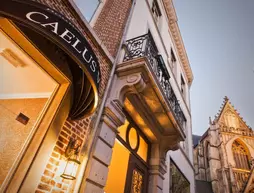 Boutique Hotel Caelus VII | Flaman Bölgesi - Limburg (il) - Tongeren