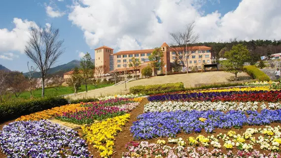 Fruit Park Fujiya Hotel | Yamanaşi (idari bölge) - Minamitsuru - Kofu (ve civarı) - Yamanashi