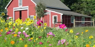 Bryn Meadow Farm and B&B