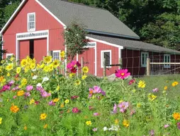 Bryn Meadow Farm and B&B | Vermont - Burlington (ve civarı) - Charlotte