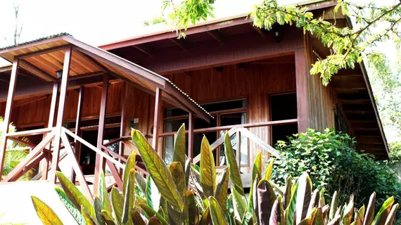 Swiss Hotel Miramontes | Puntarenas (ili) - Monteverde