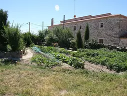 La Casa Del Gallo | Kastilya ve Leon - Zamora (vilayet) - Almeida