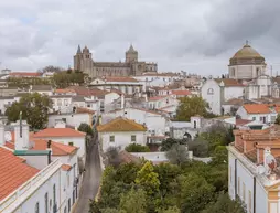 Evora Olive | Alentejo - Evora Bölgesi - Evora