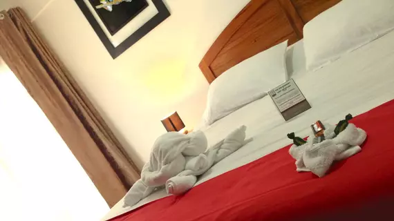 Boutique Hotel Calle 20 | Alajuela (ili) - San Jose (ve civarı) - San Jose