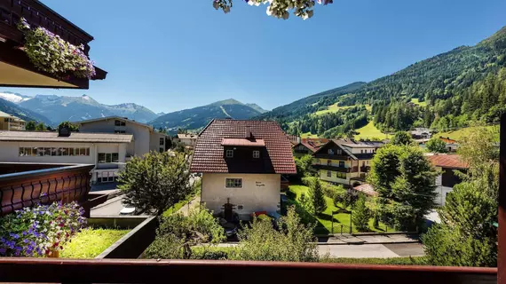 Hotel Alpina | Salzburg (eyalet) - Sankt Johann im Pongau - Bad Hofgastein