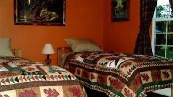 Blonde Bear Bed & Breakfast | Alaska - Kenai