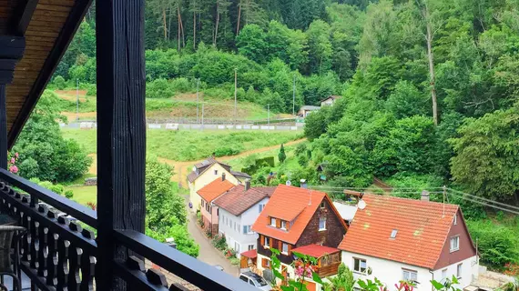 Krähenbad Hotel | Baden-Wuerttemberg - Alpirsbach