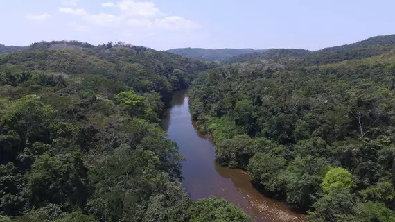 Table Rock Jungle Lodge | Cayo Bölgesi - San Ignacio