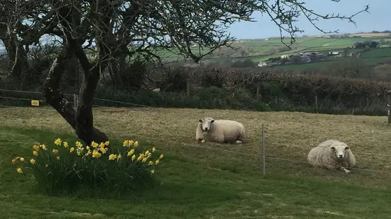 West Pennicknold Barn | Devon (kontluk) - Beaworthy