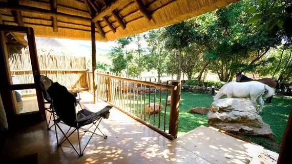 Caracal Lodge | Mpumalanga - Mbombela - Houtboschoek