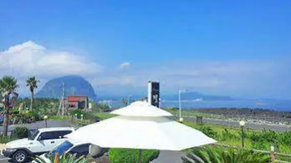 Jeju Pearlfarm Pension | Jeju Adası - Seogwipo - Daejeong - Andeok