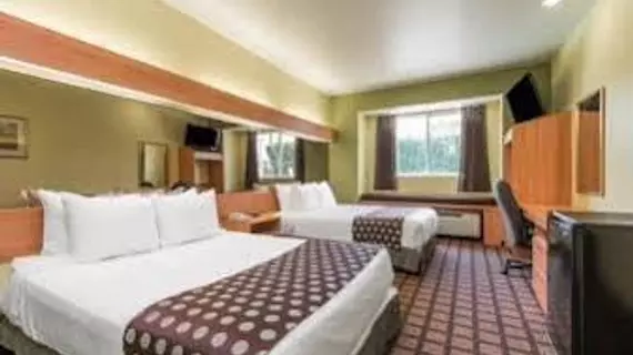 Microtel Inn & Suites by Wyndham Dallas/Fort Worth | Teksas - Fort Worth (ve civarı) - Fort Worth