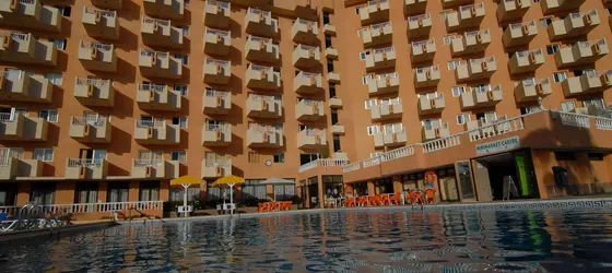 Caribe Apartamentos | Kanarya Adaları - Santa Cruz de Tenerife - Arona - Playa de las Americas