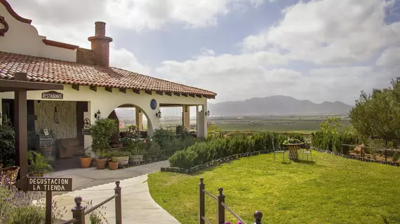 Hacienda Guadalupe | Kuzey Baja California - Ensenada - Ensenada (ve civarı) - Valle de Guadalupe