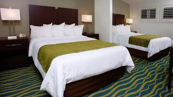 Hi View Inn & Suites | Kaliforniya - Los Angeles County - Torrance