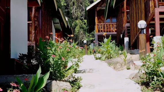 Phi Phi Jungle Hill Bungalow | Krabi İli - Ko Phi Phi