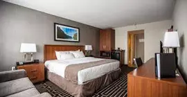 Quality Inn | Newfoundland and Labrador - Newfoundland - Deer Lake (Deer Gölü) - Corner Brook (ve civarı) - Corner Brook