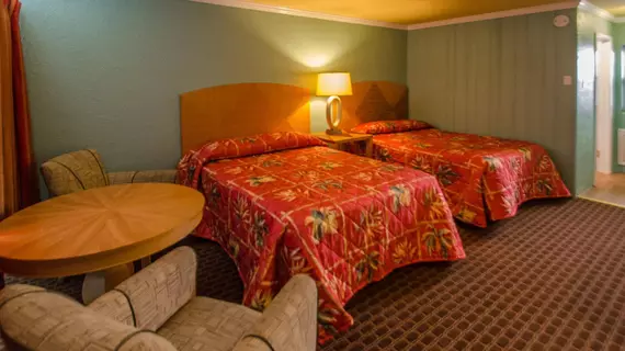 Dolphin Inn | New Jersey - Middle Township - Cape May - Wildwood (ve civarı) - Wildwood