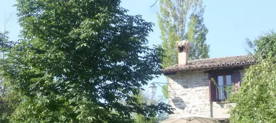 Agriturismo Basaletto | Umbria - Perugia (vilayet) - Assisi