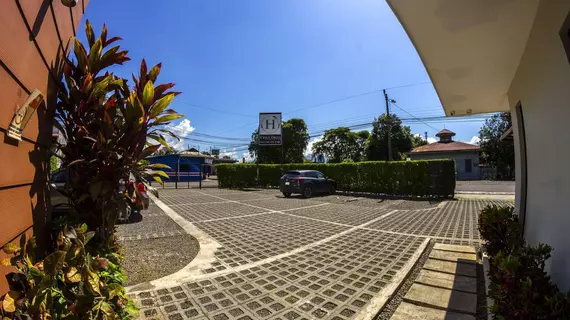 Iguana Verde | Alajuela (ili) - San Jose (ve civarı) - Orotina