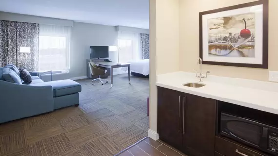 Hampton Inn MinneapolisRoseville | Minnesota - Minneapolis - St. Paul (ve civarı) - Roseville