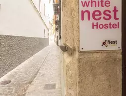 White Nest Hostel | Andalucia - Granada (il) - Granada - Albaicín