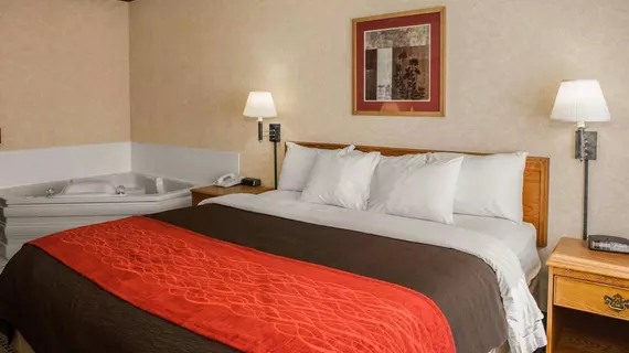 Baymont Inn and Suites Franklin | Indiana - Indianapolis (ve civarı) - Franklin