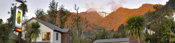 Punga Grove | Batı Sahili - Franz Josef Glacier