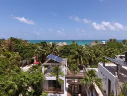 Residencia Gorila | Quintana Roo - Riviera Maya - Tulum