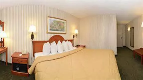 Quality Inn Andrews Air Force Base | Maryland - College Park (ve civarı) - Suitland