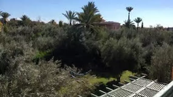 Villa Palmeraie Marrakech | Marakeş (ve civarı) - Marrakech - Ouahat Sidi Brahim - Palmeraie