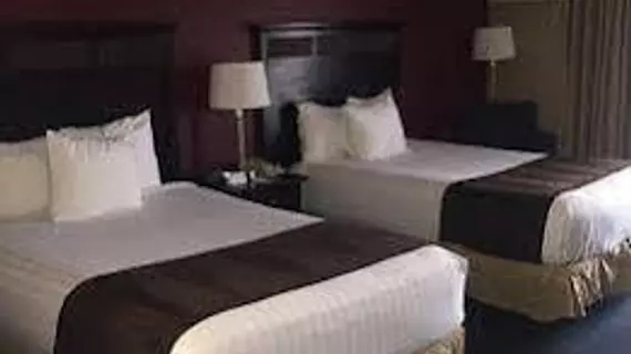 Best Western Turtle Brook Inn | New Jersey - Newark (ve civarı) - West Orange