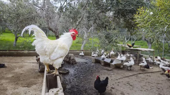 Hadjios Valley | Larnaka Bölgesi - Mazotos