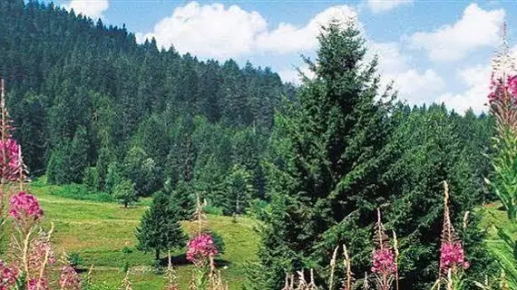 Les Jardins De Sophie | Grand Est - Vosges (bölge) - Xonrupt-Longemer