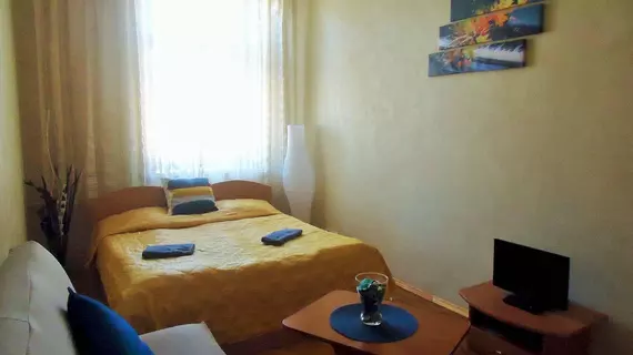 Adagio B&B on Zhukovskogo | Leningrad Bölgesi - St. Petersburg (ve civarı) - St. Petersburg - Tsentralny