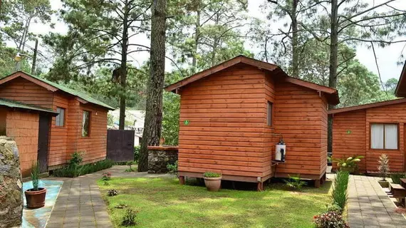 Cabañas Monte Alto | Mexico, Estado de - Toluca (ve civarı) - Valle de Bravo