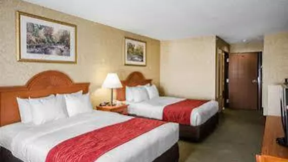 Comfort Inn & Suites | Kentucky - Owensboro (ve civarı) - Rockport