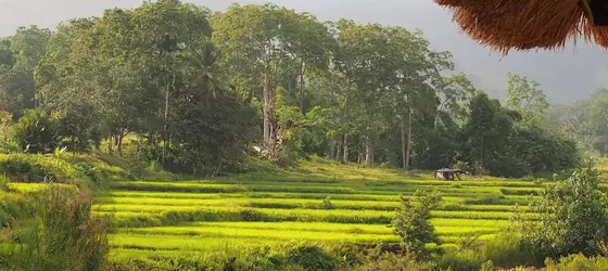 Kelimutu Crater Lakes Ecolodge | Doğu Nusa Tenggara - Desa Kowanara