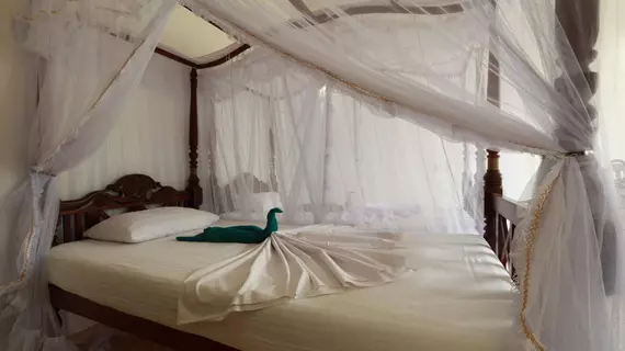 Flamingo Guesthouse | Southern Province - Galle Bölgesi - Unawatuna