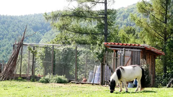 Hotel Ecológico Kaaño Etxea | Navarra - Basaburua