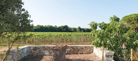 Masseria Mongiò Dell'elefante | Puglia - Lecce (il) - Otranto