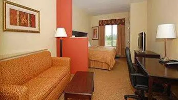 Comfort Suites Cullman | Alabama - Cullman (ve civarı) - Cullman