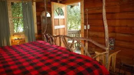 Creekwalk Inn and Cabins | Tennessee - Gatlinburg - Pigeon Forge (ve civarı) - Cosby