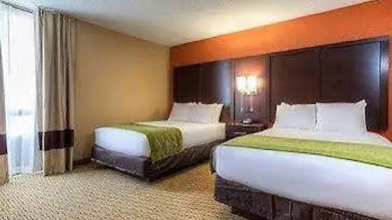 Comfort Inn & Suites | Indiana - Evansville (ve civarı) - Evansville