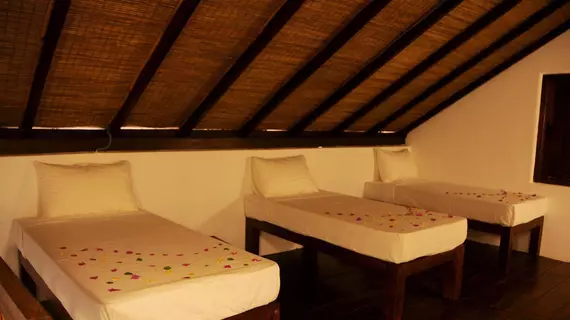 Sigiriya Lodge Hostel | Merkez Vilayet - Matale Bölgesi - Sigiriya