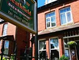 Heathfield Bed and Breakfast | Kuzey Yorkshire (kontluk) - Whitby