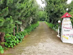 Dreaming Forest | Jeju Adası - Seogwipo - Seogwipo Şehri