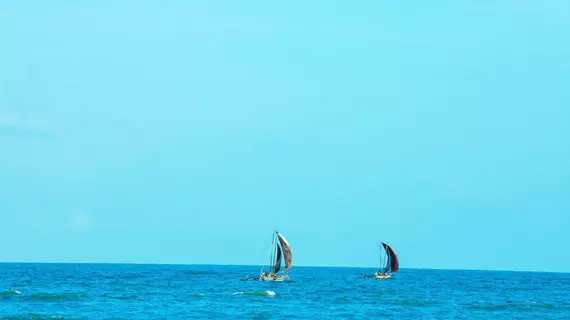 Beacon Beach | Gampaha Bölgesi - Negombo - Daluwakotuwa