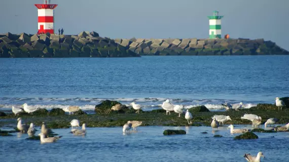 Boulevard Hotel Scheveningen | Güney Hollanda - Lahey (ve civarı) - The Hague - Scheveningen